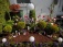 Garten 'Vorgarten'