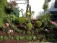 Garten 'Vorgarten'