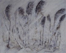 Zimmerschauerin Schnetterchen