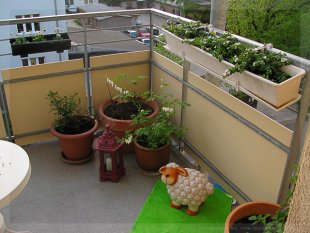 Terrasse / Balkon 'Balkonien 2009'