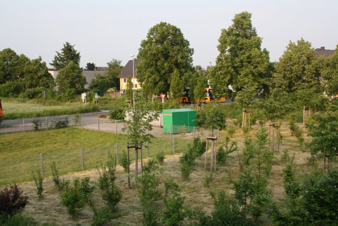 Schlafzimmer 'Schildkrötenlager'