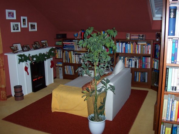 Wohnzimmer 'Wohnzimmer und Bibliothek'