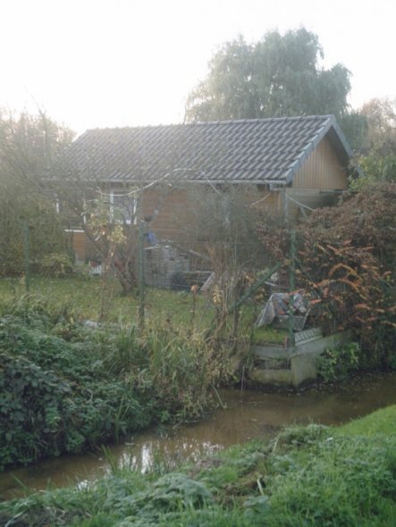 Unser Garten im November 2008