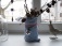 Wohnzimmer 'Deko'