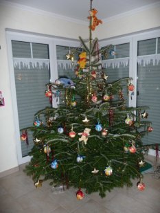 Weihnachten  2010 mit Kids