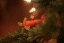 Weihnachtsdeko 'Deko-Weihnachten 2009/2010'