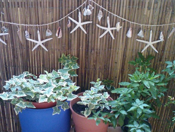 Terrasse / Balkon 'Wohnzimmer im Freien'