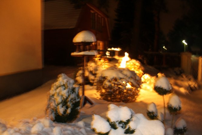 Weihnachtsdeko 'Garten in Weiß'