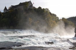 Zimmerschauerin SechsSternchen