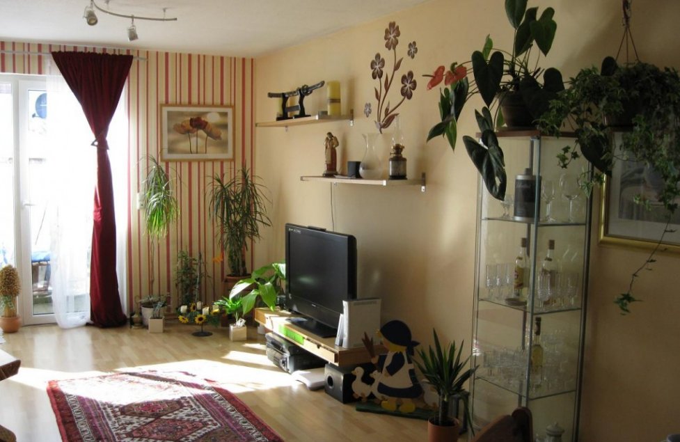 Das Wohnzimmer von kima