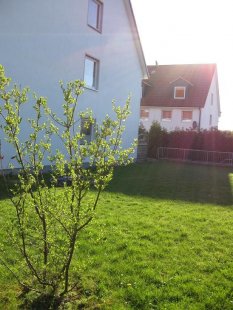 alle Räume 'Mein Garten'