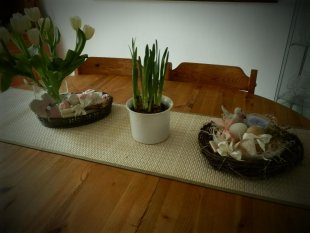 alle Räume 'Pascua2011'
