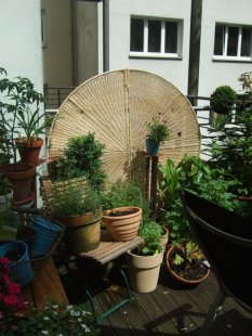 Dachterrasse 2010