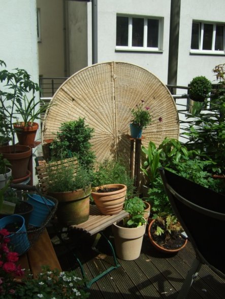 Terrasse / Balkon 'Dachterrasse 2010'