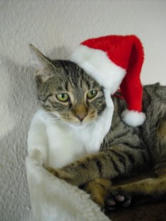 alle Räume 'Weihnachten'