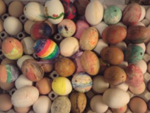 alle Räume 'frühling'