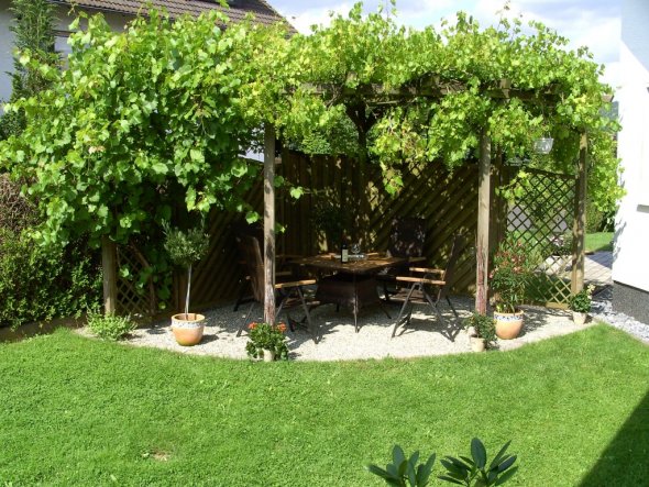 Garten 'Weinlaube und Mehr'