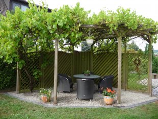 Garten 'Weinlaube und Mehr'