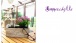 Garten 'Sommersitz'