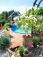 Garten 'Sommersitz'