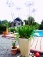 Garten 'Sommersitz'