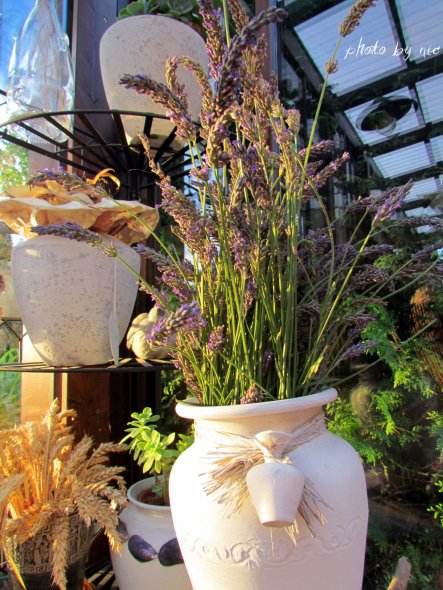 Garten 'Sommersitz'