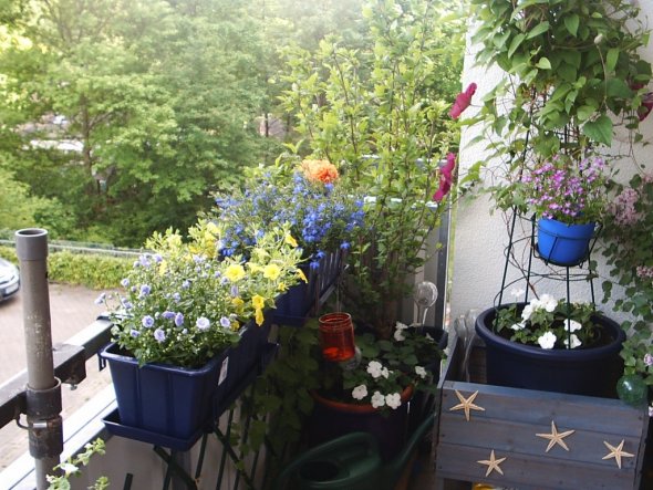 Garten 'Sommerbalkon 2014'