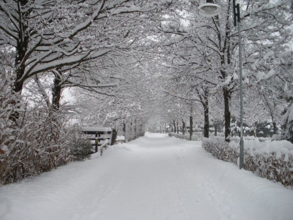 Garten ' Winterlandschaft'