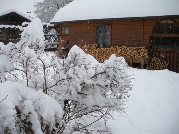 Garten ' Winterlandschaft'