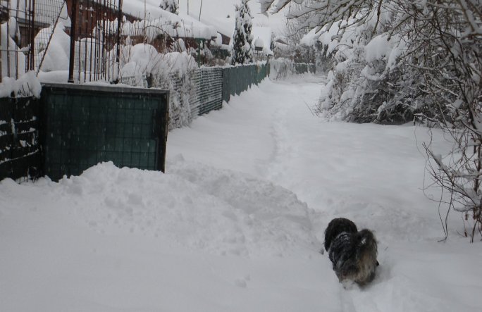 Garten ' Winterlandschaft'