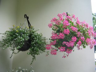 Freiluftstübchen Sommer 2009