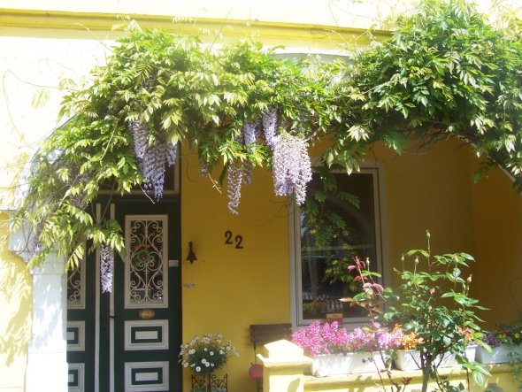 Die Haustür ist noch original 1919, wir lieben sie sehr! Links und rechts vom Eingang wachsen Duftrosen und blühen von Mai bis Oktober, so dass jeder 