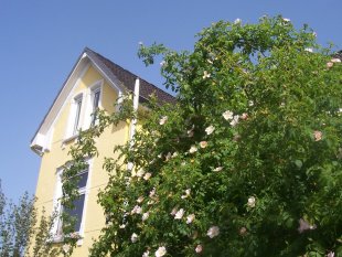 Klassisch 'Unsere Villa Kunterbunt'