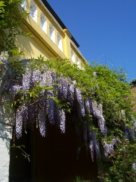 Hausfassade / Außenansichten 'Unsere Villa Kunterbunt'