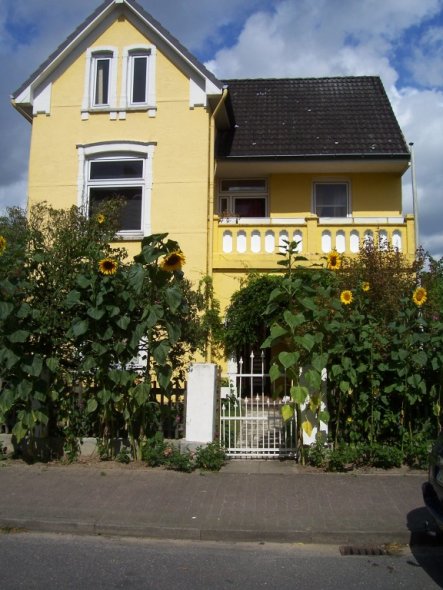 Hausfassade / Außenansichten 'Unsere Villa Kunterbunt'