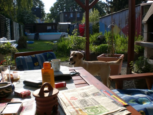 Garten 'Mein Garten'