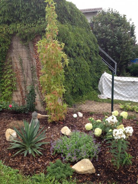 Garten Aus Alt macht Neu von sonnenblume1 - 32816 - Zimmerschau