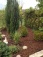 Garten 'der Garten'