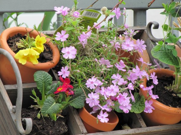 Terrasse / Balkon 'Terrasse'