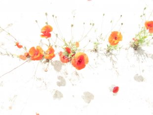 alle Räume 'Eins von vielen Hobbys...'