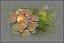 Wohnzimmer 'Herbst Raum'