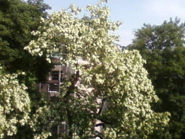 Hausfassade / Außenansichten 'Ausblicke aus meiner Wohnung'