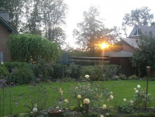 alle Räume 'Garten'