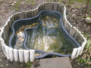 alle Räume 'Mein Garten'