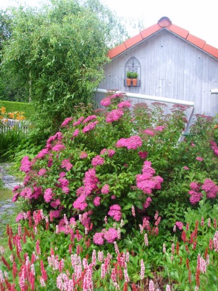 Garten 'Blütenzauber'