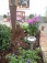 Garten 'Jardin'