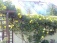 Garten 'Jardin'
