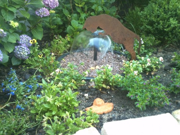 in einem Blumenladen gesehen und haben gemusst, doch dann wohin damit aus Spaß setzte ich Sie neber meinen Kater als er am Brunnen trank und dann fand