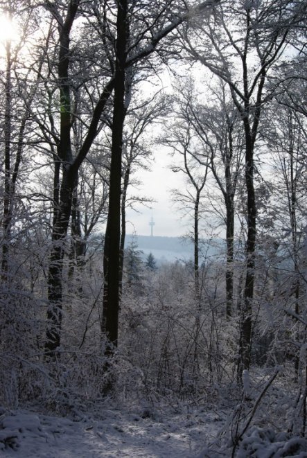 Hausfassade / Außenansichten 'Impressionen'