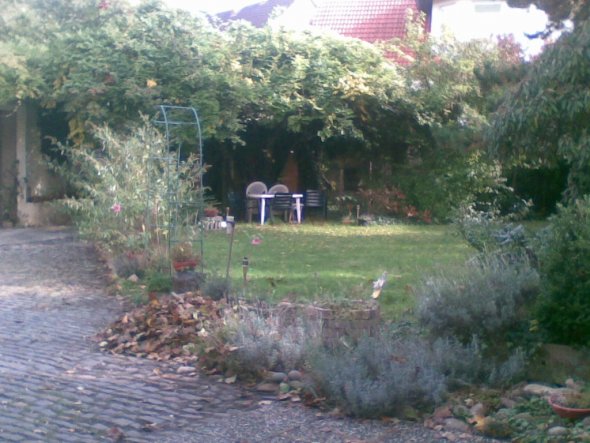 Garten 'Garten'